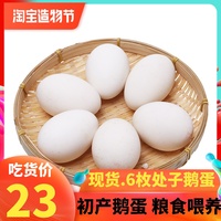【正常发货】6枚鹅蛋散养土鹅蛋正宗农家草鹅蛋孕妇新鲜处子鹅蛋
