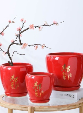 大红色新年花盆陶瓷家用带陶瓷托盘客厅兰花君子兰室内冬青盆栽