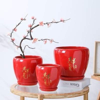 大红色新年花盆陶瓷家用带陶瓷托盘客厅兰花君子兰室内冬青盆栽