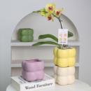 北欧陶瓷花盆家用高档轻奢高级精致奶油风创意摆件蝴蝶兰专用套盆