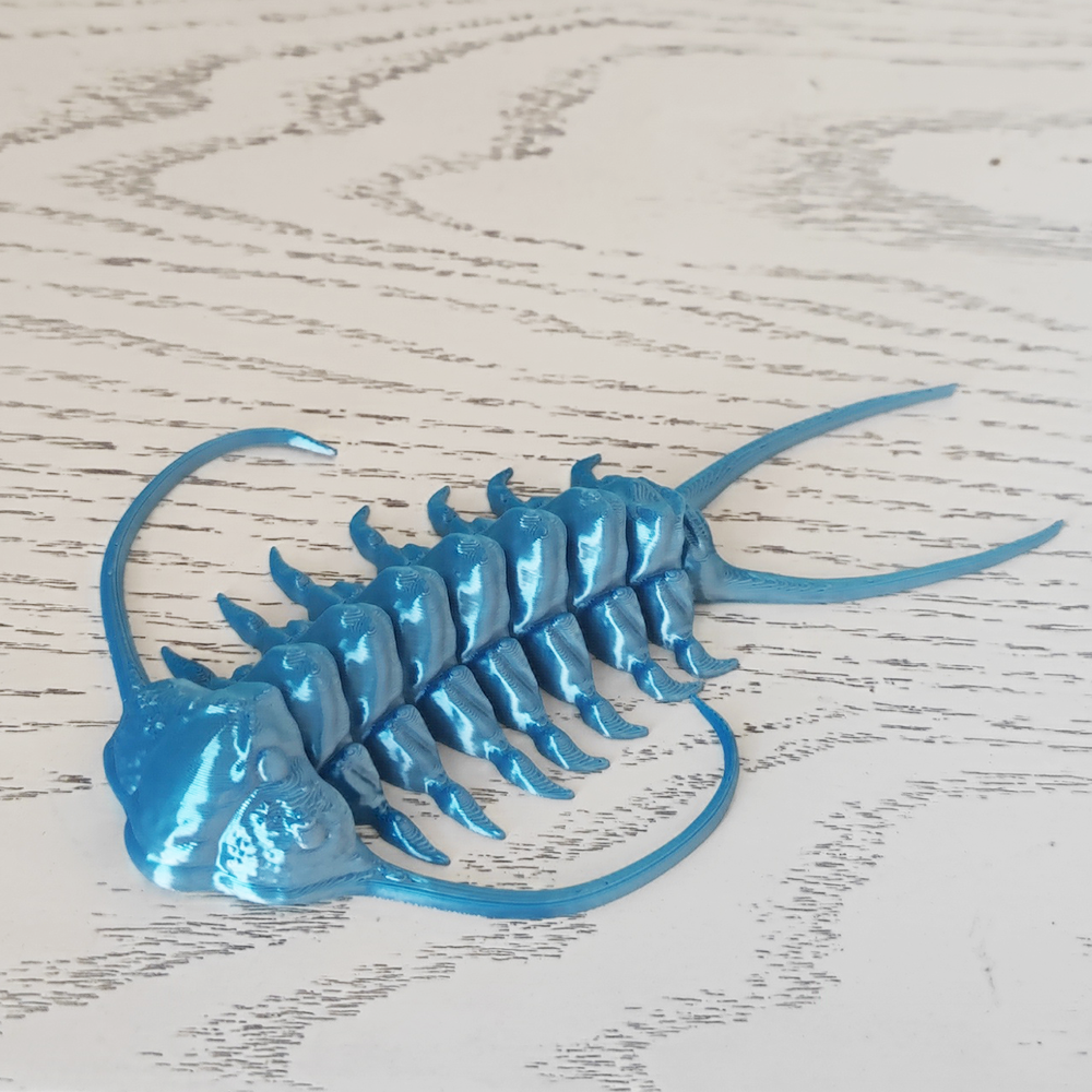 3D打印长须三叶虫关节远古史前生物仿真节肢动物玩具模型摆件手办