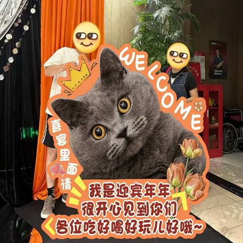 小红书爆款宠物主题婚礼迎宾路引