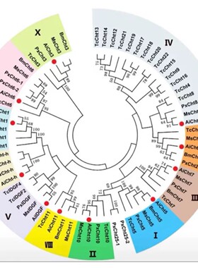 R语言绘图R代码自动出图医学临床SCI科研生信热图数据分析作图包