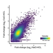 分子对接12分文章 SHAP分析 生信自学网网络毒理学 113种机器学习