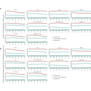 GBD数据库分析 GBD全球疾病负担数据库挖掘课题思路R代码代分析