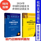 中国经济蓝皮书 世界经济形势分析与预测 世界经济黄皮书 2024年中国经济 现货