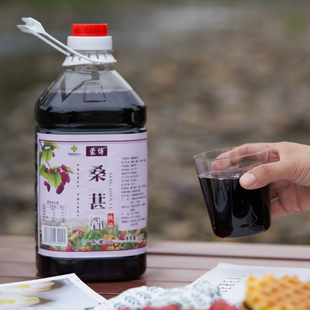 桑葚醋天然无添加荞麦醋似苹果醋饮料桶装水果泡制米醋水果醋解腻