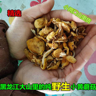 东北野生小黄蘑菇干货松树油蘑东北野生小鸡炖蘑菇250g500g包邮