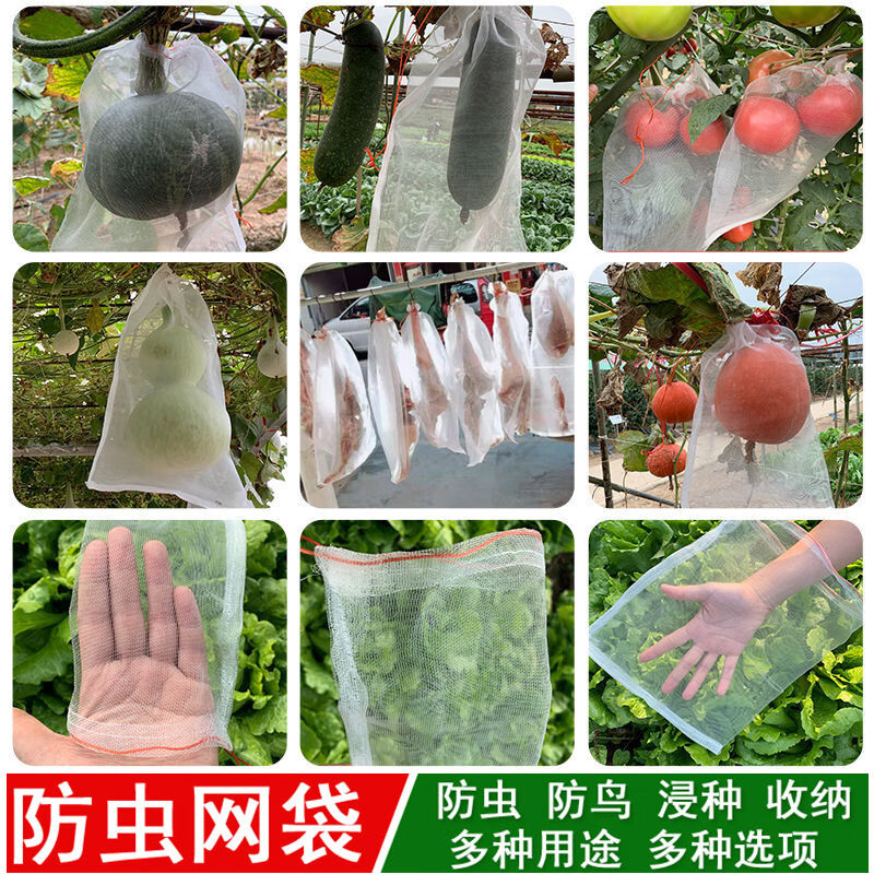 懿儱佩防虫网袋果树防鸟用网草莓防果蝇纱网葡萄套袋专用无花果网