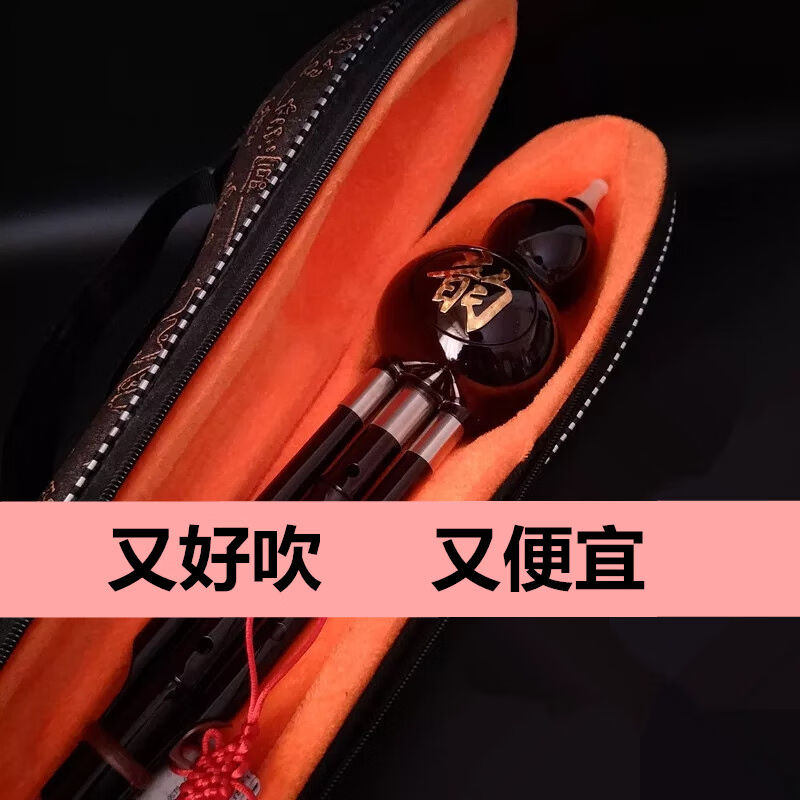 葫芦丝乐器初学中小学生成人演奏型胡芦丝自学红色c调+皮盒+
