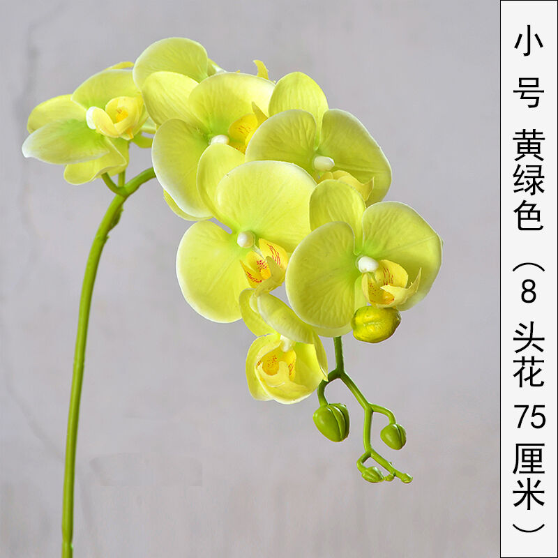 蝴蝶兰仿真花过胶手感蝴蝶兰仿真花单支花客厅家居装饰花黄色绢花