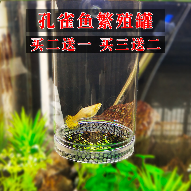 孔雀鱼繁殖罐繁殖盒产房孵化网斗鱼缸隔离网产子罐产箱小鱼隔离盒 三湖印象 淘优券