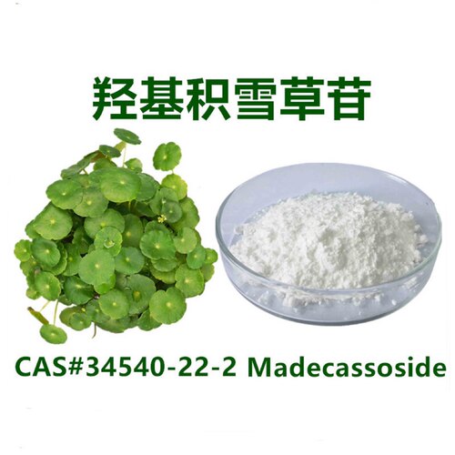 羟基积雪草苷90% 化妆品原料34540-22-2 Madecassoside积雪草提取
