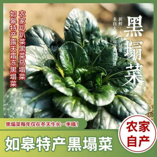 新鲜蔬菜5斤黑塌菜如皋特产黑菜露天霜冻苏州黑青菜乌塌菜趴趴菜