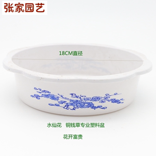 水培仙花专用花盆 碗莲盆 睡莲铜钱草 塑料花盆 简约