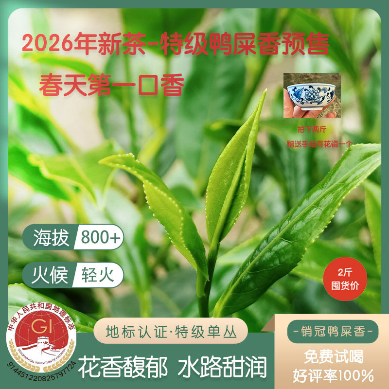 【新茶现货-2026年正春鸭屎香】春天第一口香花香馥郁凤凰单枞茶