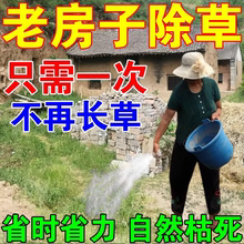 环泰铜除草烂根剂一扫三年不长草光烂根粉强力灭树粉散装除草神器