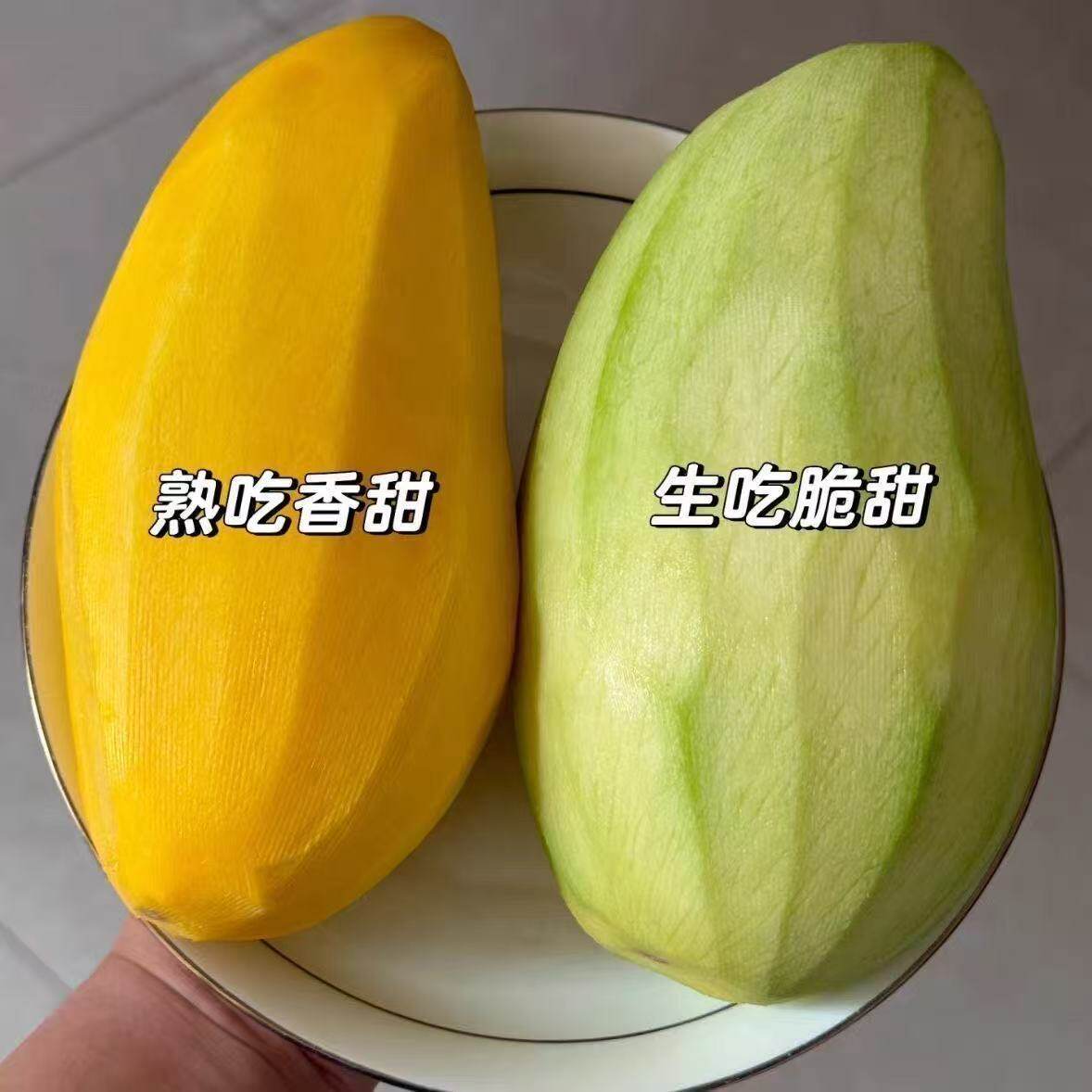 现摘云南大青芒肉厚核小无丝生熟两吃起实惠到家