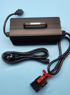 杭叉锂电叉车充电器YLCH24V20A黑色75X插头AIMB155-741000-000
