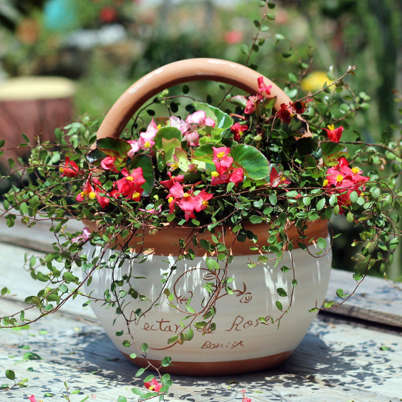欧式粗陶红陶花篮花盆多肉拼盘绿植花卉庭院阳台装饰创意透气陶盆,鲜花速递/花卉仿真/绿植园艺,花盆,淘宝优惠券,粉丝福利购,淘宝优惠卷