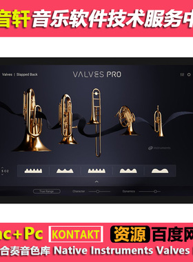 铜管合奏音色库 Native Instruments Valves Pro KONTAKT编曲音源