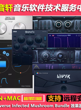 Polyverse Infected Mushroom Bundle v2022 效果器全套WIN+MAC