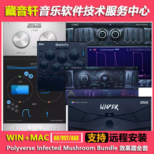 Polyverse Infected Mushroom Bundle v2022 效果器全套WIN+MAC