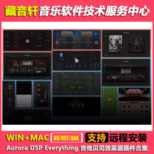 吉他贝司箱头效果器插件合集WIN Aurora 2024 Everything MAC DSP