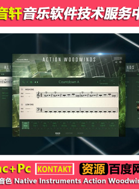 影视木管音色 Native Instruments Action Woodwinds v1.0 (20GB)