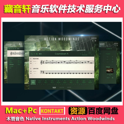影视木管音色 Native Instruments Action Woodwinds v1.0 (20GB)