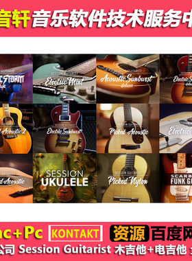 全家桶 Session Guitarist 吉他13套自动伴奏扫弦电木吉他(145GB)