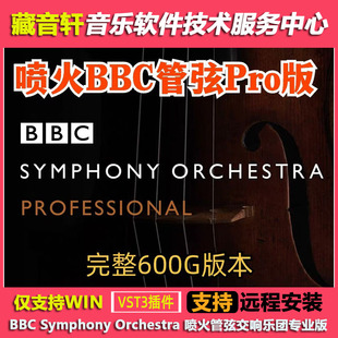 Symphony 喷火管弦交响乐团专业版 Orchestra WIN 600GB Pro BBC