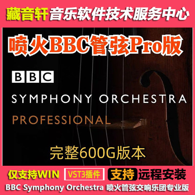 BBC Symphony Orchestra Pro WIN 喷火管弦交响乐团专业版 600GB