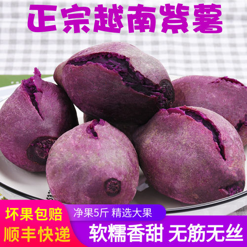 越南小紫薯新鲜现挖素材模板 越南小紫薯新鲜现挖图片下载 小麦优选