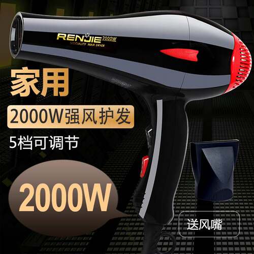 官方人杰RCE-822 美发专业 吹风机 2000W大功率 电吹风机家用发廊