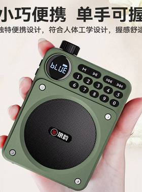 官网品牌琅韵C65便携式蓝牙插卡收音机 扩音器插卡插优盘老年机音