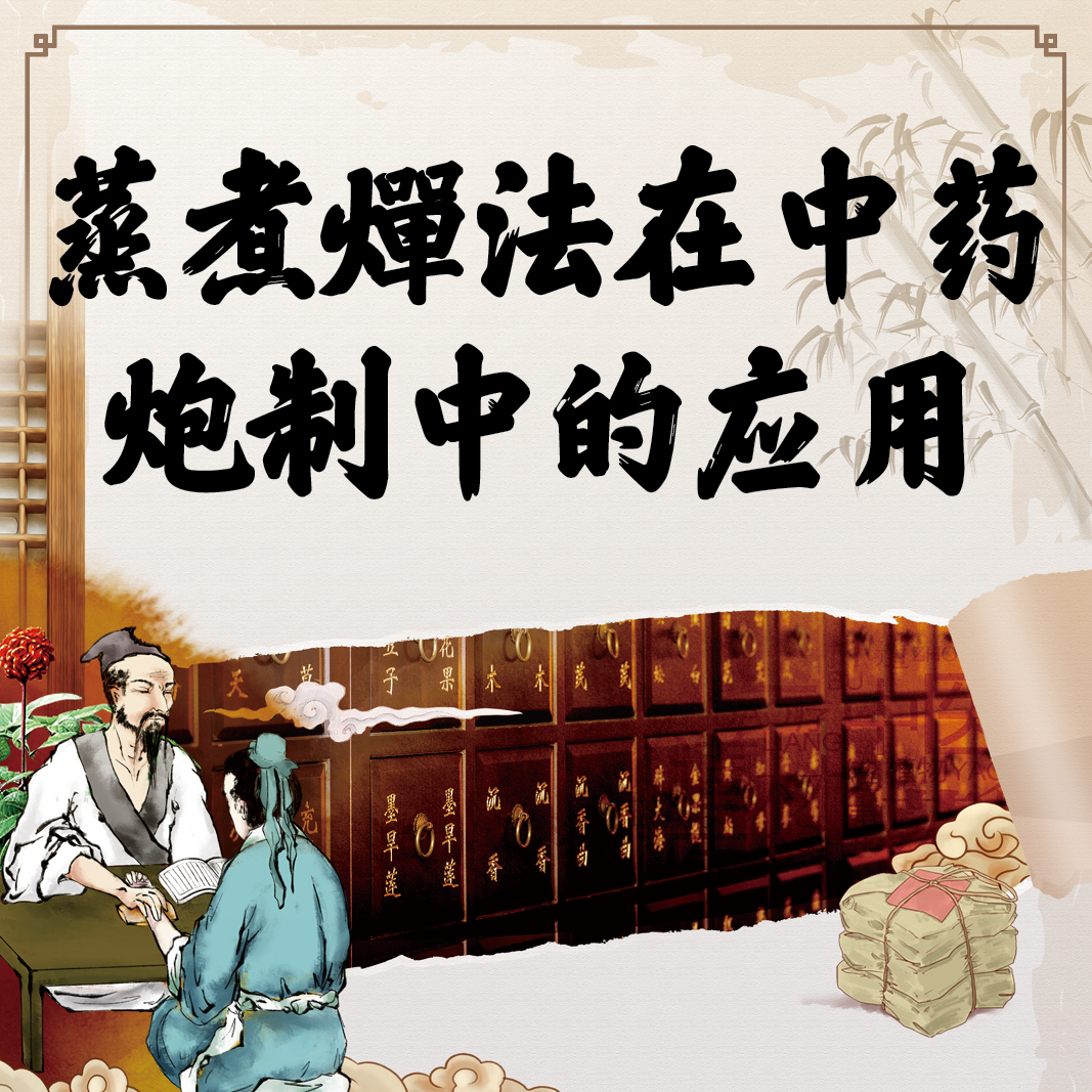 蒸煮燀法在中药炮制中的应用李林人卫慕课