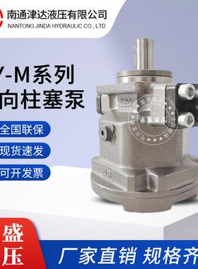 新款HY10 25 63 80 107 160 250M-RP/LP轴向柱塞包邮