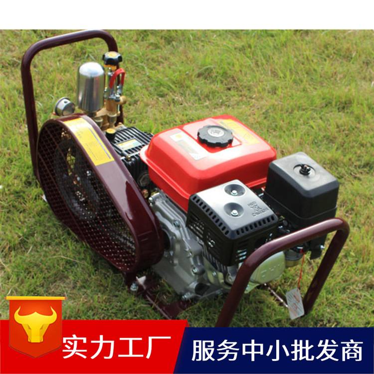 汽油动力喷雾器 汽油打药机 高压喷雾机