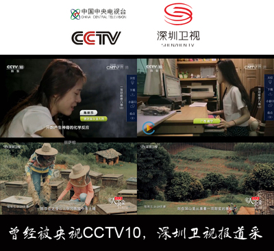 九龙藤正宗蜂蜜 农家蜜