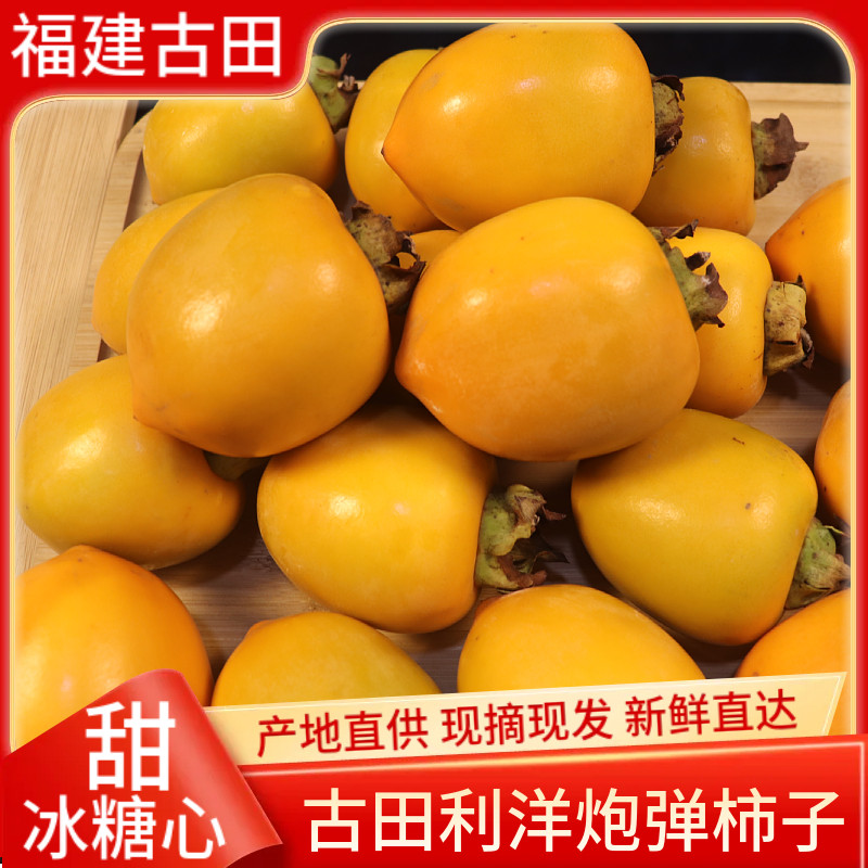 福建古田柿子新鲜现摘现发脆甜柿利洋炮弹柿子当季水果精品礼盒装