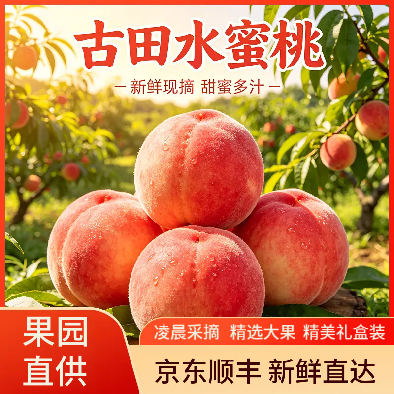 正宗古田水蜜桃白凤桃福建脆甜大桃子当季新鲜水果礼盒装【精品】