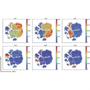 CLIP seq蛋白互作分析服务 seqRNA互作RIP