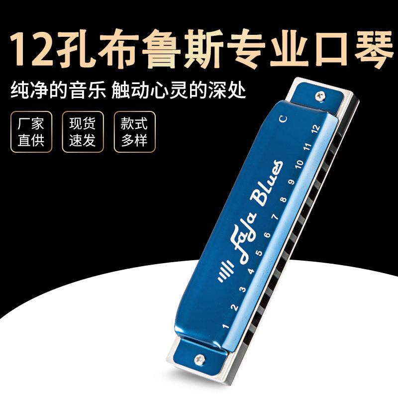 12孔口琴布鲁斯十孔C调蓝调学生儿童成人专业初学者24孔乐器