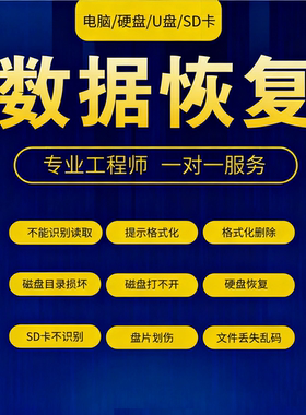 电脑移动硬盘数据恢复机械sd卡