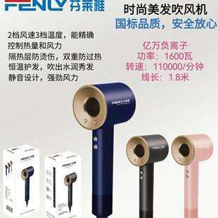 官方正品 吹风筒冷热风速干大功率 芬莱雅S01高速中空电吹风机新款