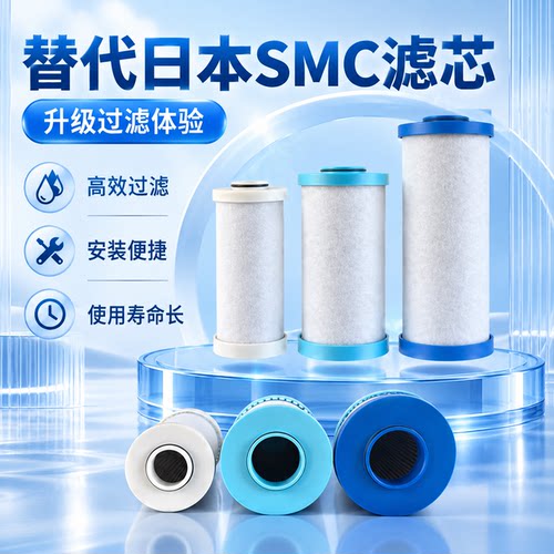 替代SMC色选机过滤器精密过滤芯