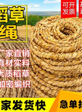 稻草绳草绳子花木移栽捆绑树木保暖保湿防寒防冻捆扎土球编织草绳