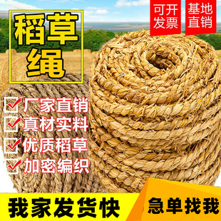 防寒防冻捆扎土球编织草绳 稻草绳草绳子花木移栽捆绑树木保暖保湿