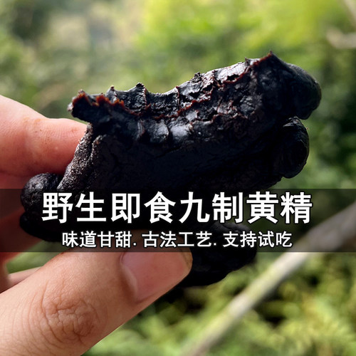 九华山野生黄精九蒸九晒
